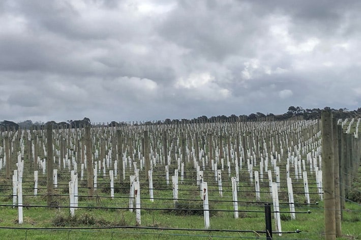 Agriculture and horticulture soil testing